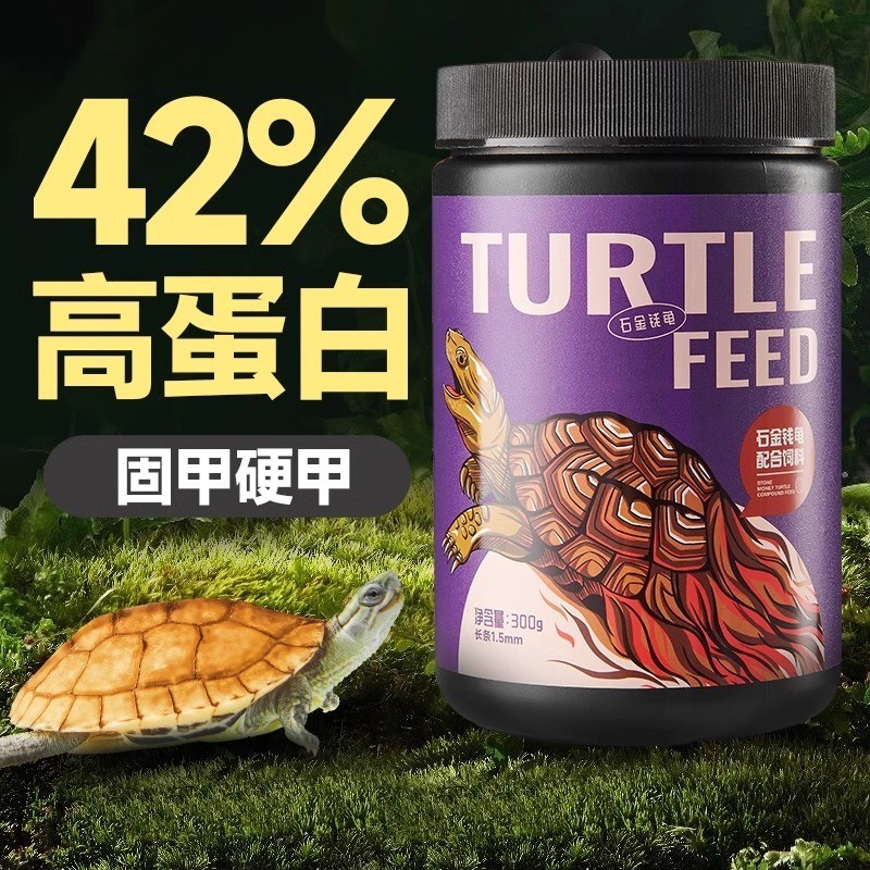 View of yee Stone Money Turtle Turtle Food Feed for Brazilian Turtles, Chinese ...