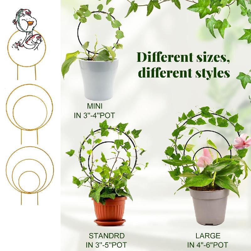 Plant Trellis Indoor Plant Trellis For Climbing Plants Indoor 3X ...