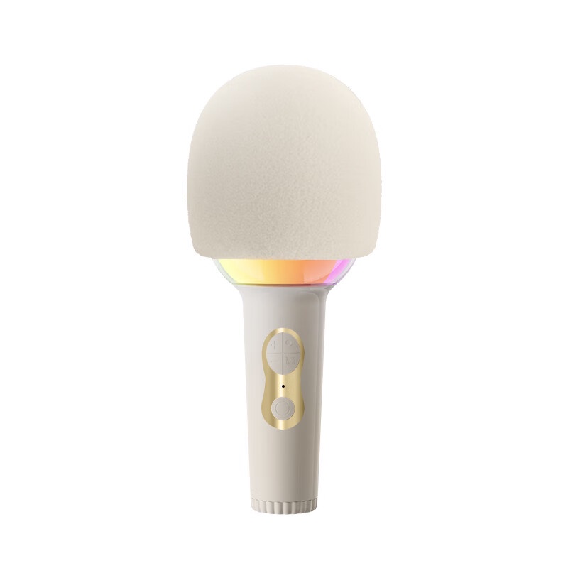 Wesing Microphone Family Ktv Voice Changer Children Singing Karaoke TV