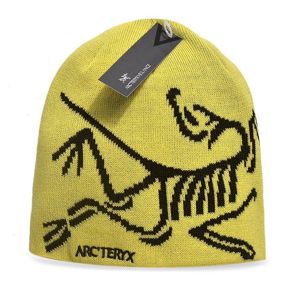 Vintage Arcteryx Big Bird Beanie | Shopee Singapore