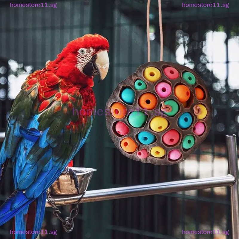 Homestore Parrot Foraging Toys Dried Lotus Pod Parrot Teething Toy Conure Toys For Cockatoos