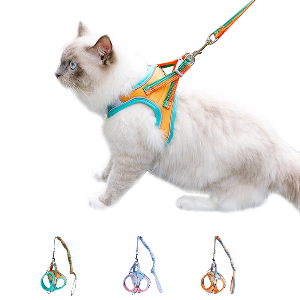 Breakaway cat harness shop