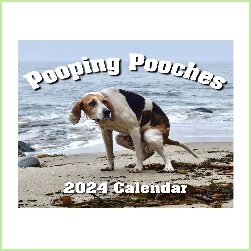 Funny Dog 2024 Wall Calendar Crapping Dogs Calendar Planner Year Round