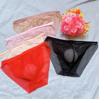 Mens Elephant Nose Underwear See Through Low Rise Long Pouch Bikini Briefs  Mesh Sheer Breathable Thong Panties
