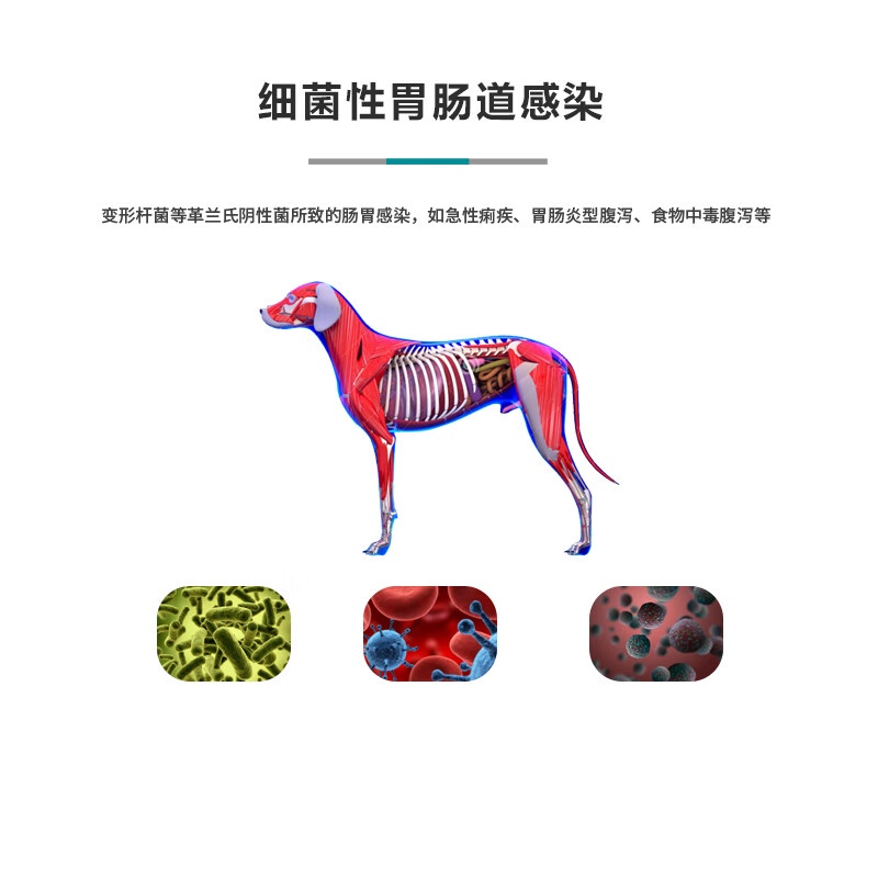 House Pet Neomycin Sulfate Tablets Pet Intestinal Infection Dog