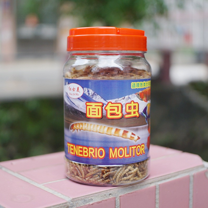 Hongshimei Mealworm Dry Tenebrio Molitor Dried High Protein Fish Food