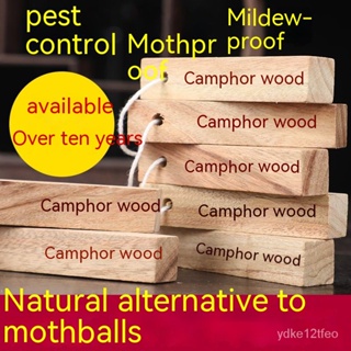 1 Bag Moth Balls Moth Proof Mildew Proof Wood Block Camphor Pill