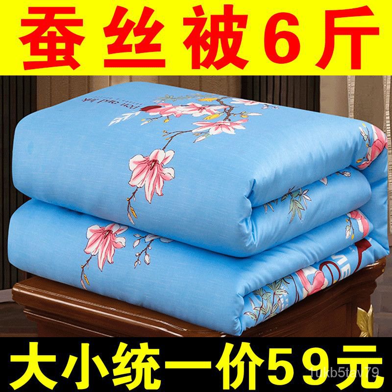 ⛄️ZZ100Authentic Silk Quilt Winter Thickened Cotton Quilt Thermal