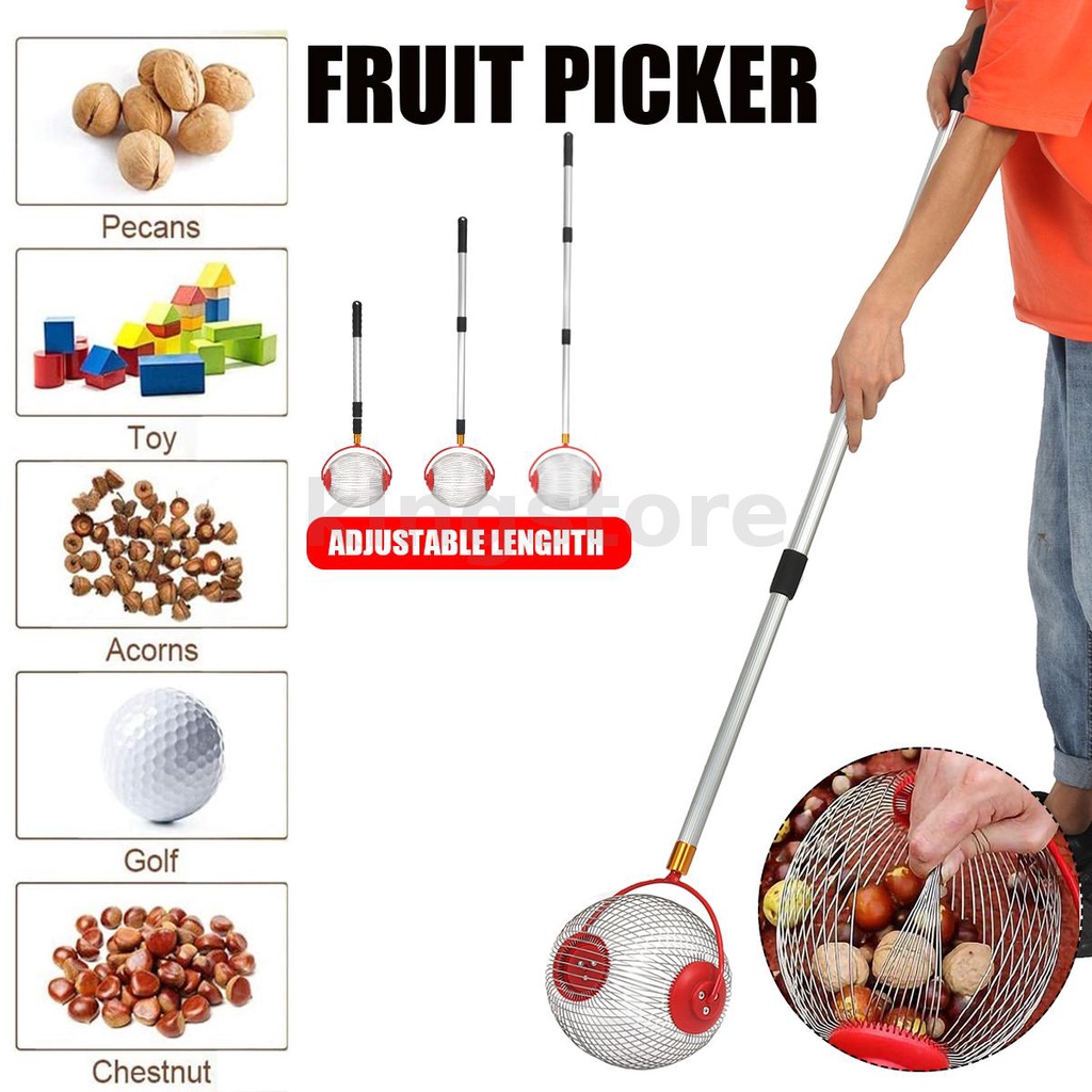 Nut Gatherer Fruit Collector Garden Rolling Nut Harvester Fruit Picker