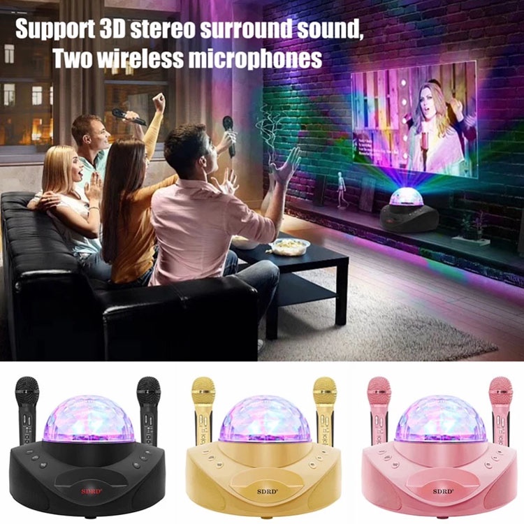 SDRD SD-308 LED Light Dual 2 Wireless Microphone Portable Bluetooth Speaker  Mobile Wireless Karaoke Family KTV Speaker | Shopee Singapore