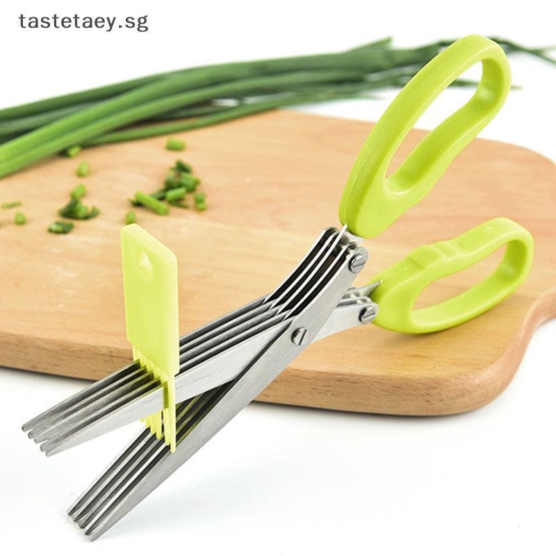 5 Layer Kitchen Shears 5 Blade Stainless Kitchen Shears Scallion Cutter  Laver Spices Herb Chive Cutter For Cutting Cilantro