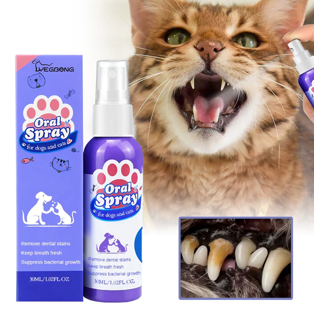 New 60ML Pet Teeth Breath Cleaning Freshener Dog Cat Dental Spray Care