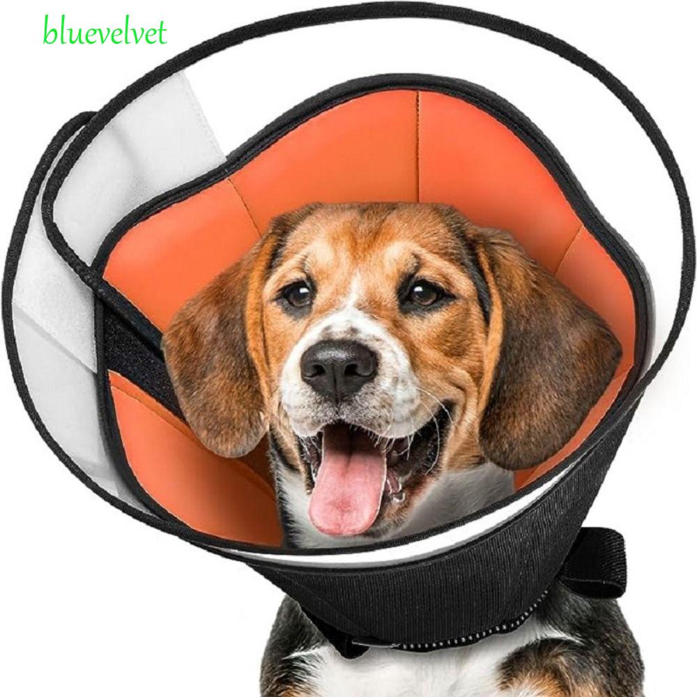 BLUEVELVET Dog Cone Breathable Soft Pet Anti bite Collar Safety Adjustable Anti Bite Lightweight Elizabethan Collar Prevent Licking Wounds Shopee Singapore