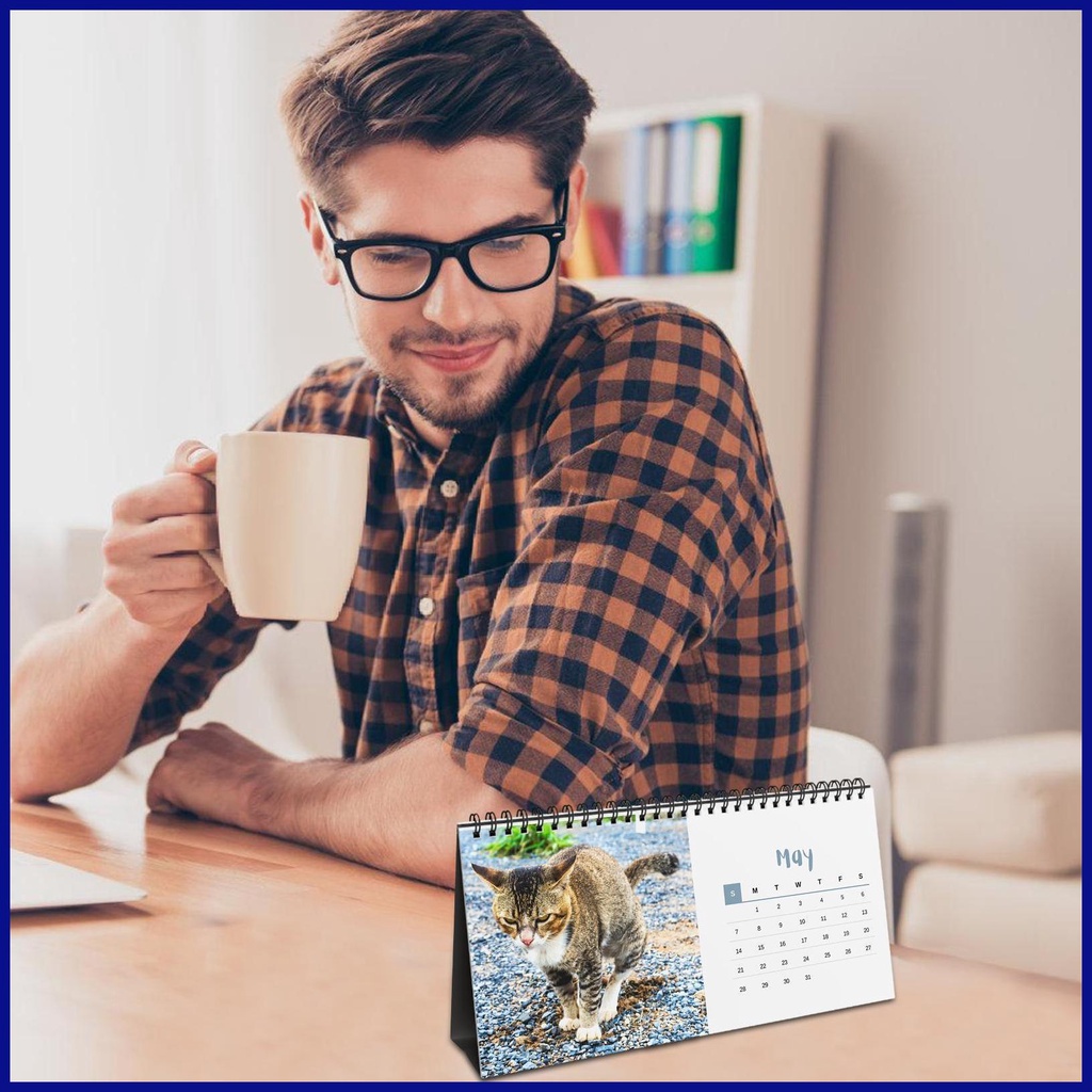 Fun Wall Calendar 2024 Creative Pooping Cat Calendar Funny Gag Gift