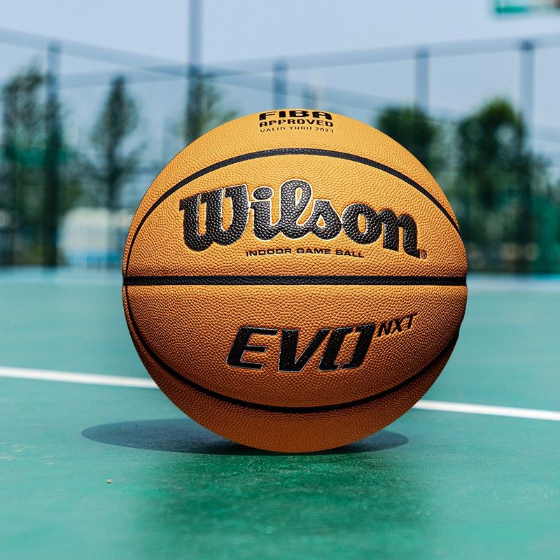 Wilson Wilson Basketball Evo NXT Standard Game Training No. 7 Ball ...