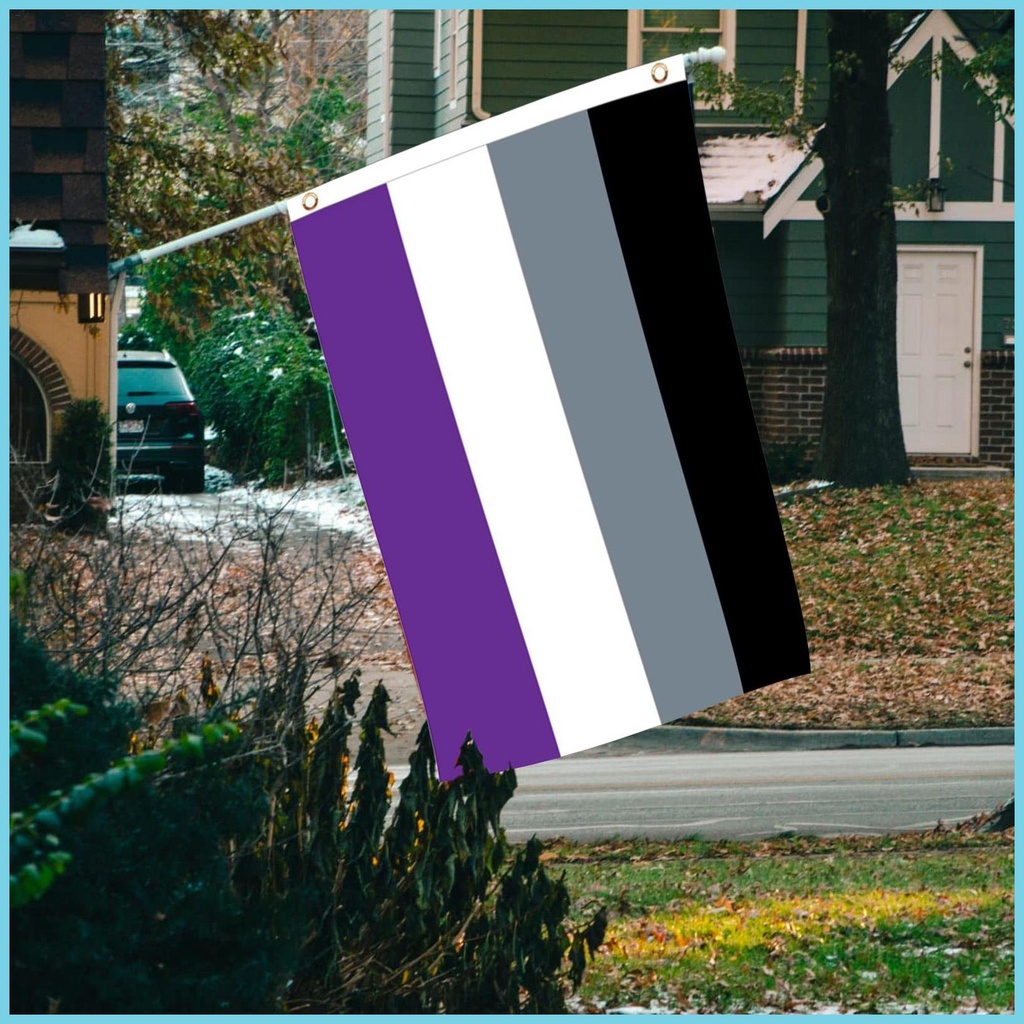 Asexual Pride Flag Asexuality Pride Flags Banner 3x5 Feet Asexual Flags ...