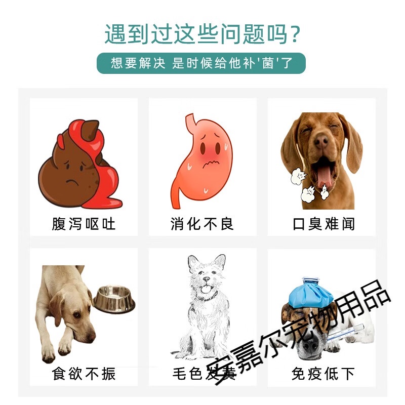 German Shepherd Probiotic Powder Conditioning Intestine and Stomach Special Pet Dog Eat Puppy