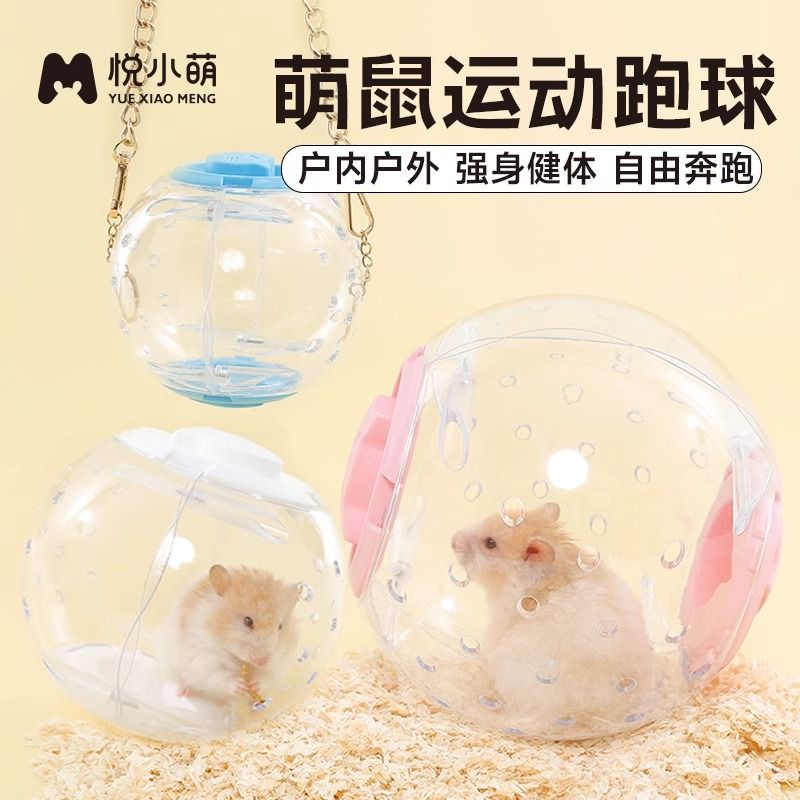 Hamster best sale ball shopee