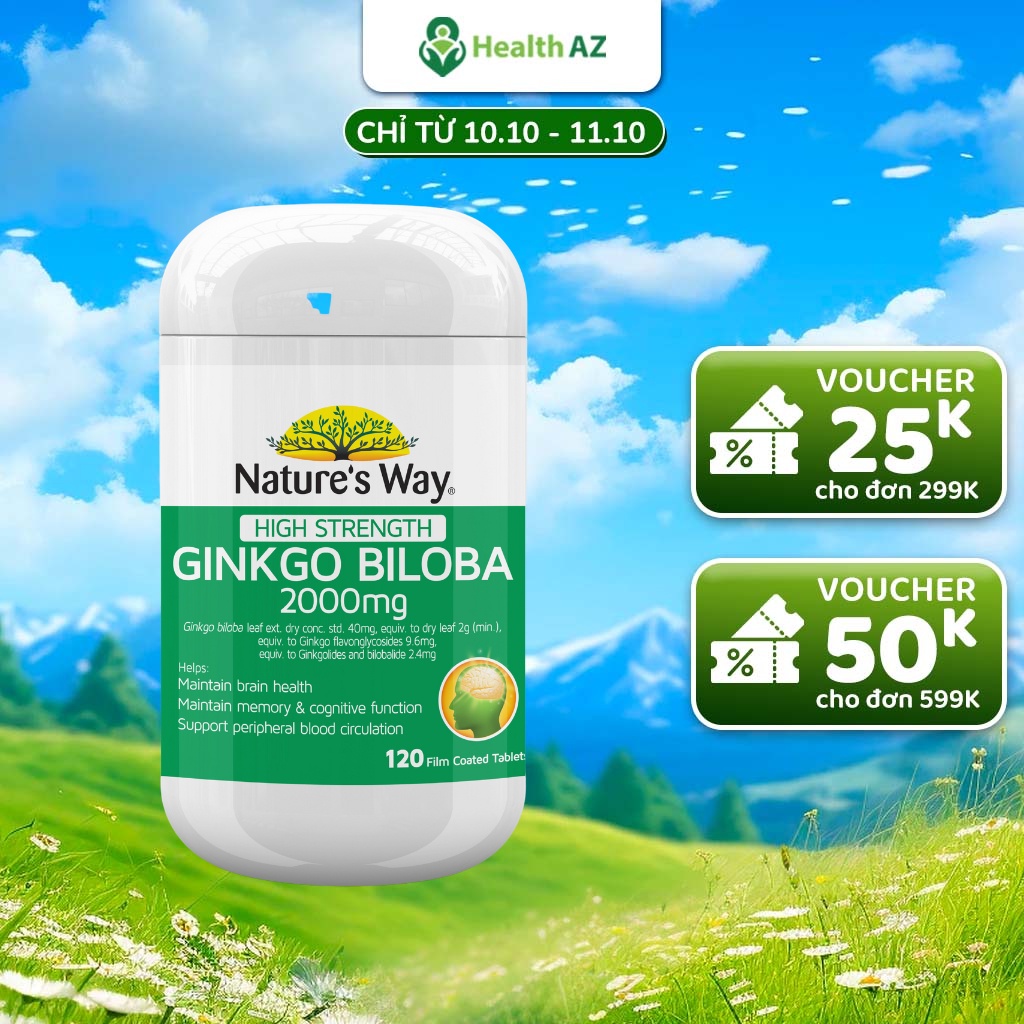 ginkgo-biloba-2000mg-nature-s-way-brain-supplements-increase-blood