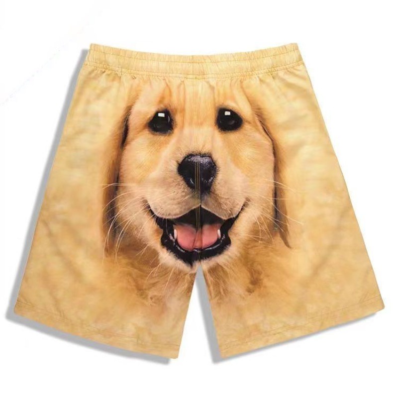 animal womens shorts