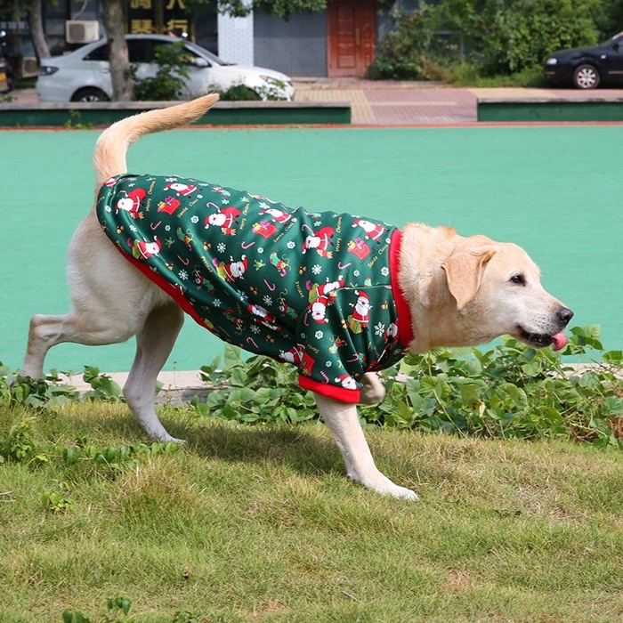 Christmas clothes for big on sale dogs