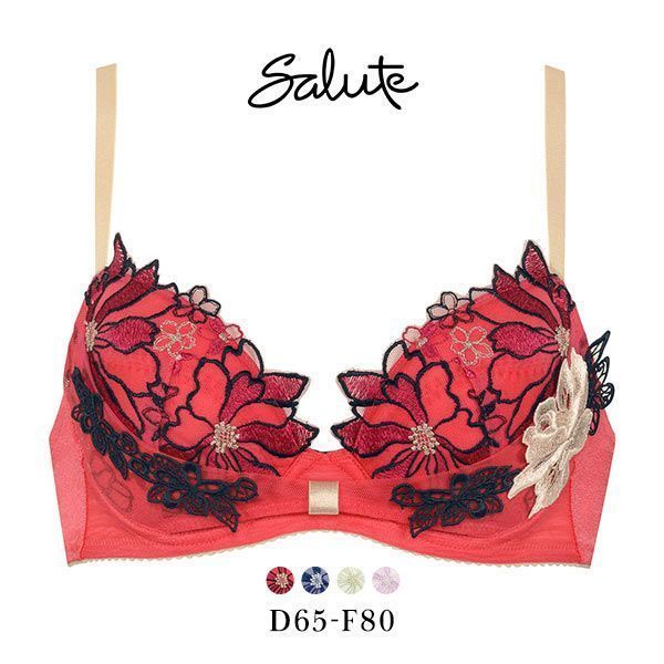 Wacoal Salute 96G BTJ796 keep cleavage ribbon bra Sizes E F