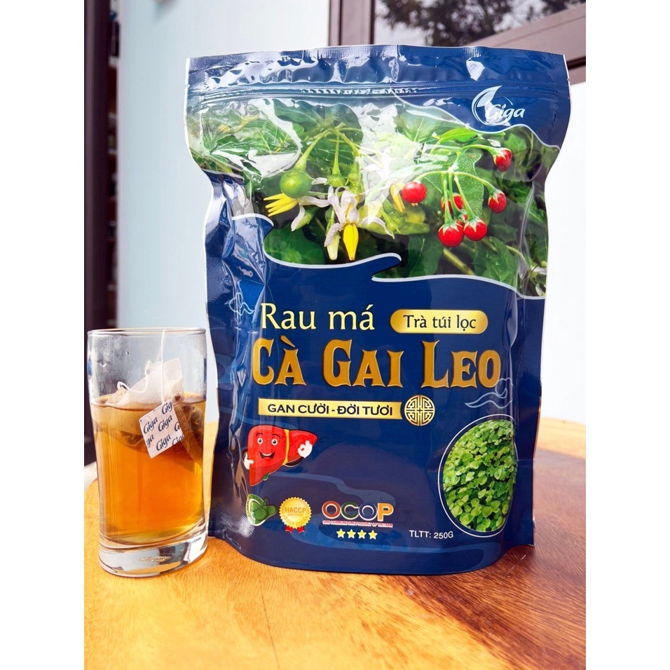 Giga Centella Asiatica Tea - Cools the liver, detoxifies, beautifies ...