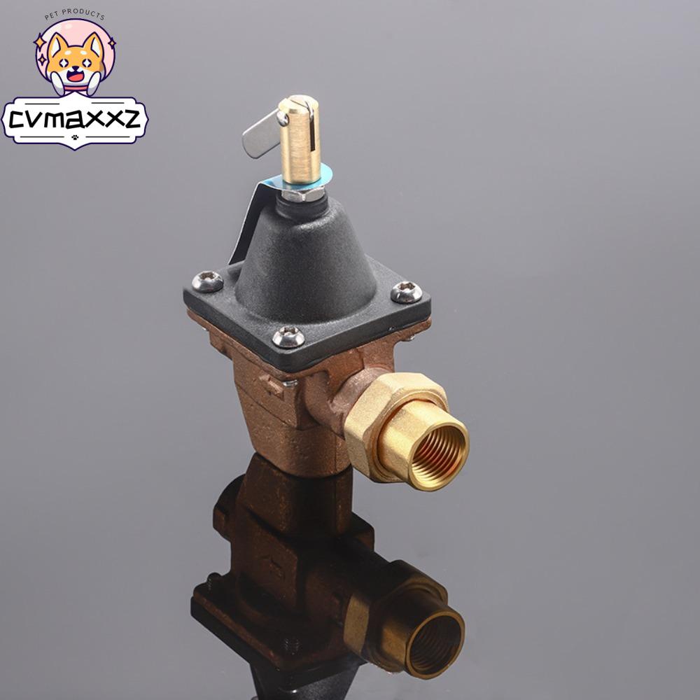 CVMAXXZ Boiler Pressure Relief Valve, Bronze Adjustable Safety Relief