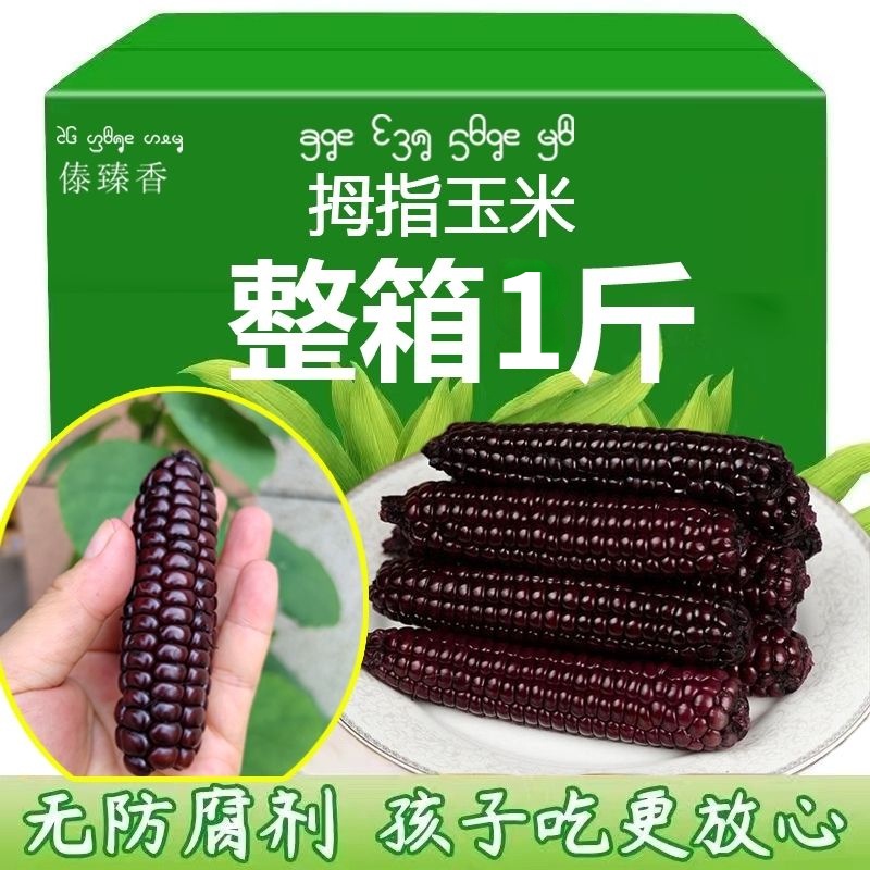 Purple Waxy Corn, Fragrant Waxy Corn, Readytoeat Corn500g Shopee