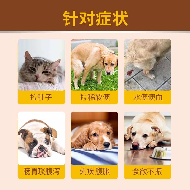 Pet Lake Cat Dog Enteritis Medicine Cat Diarrhea Diarrhea Diarrhea