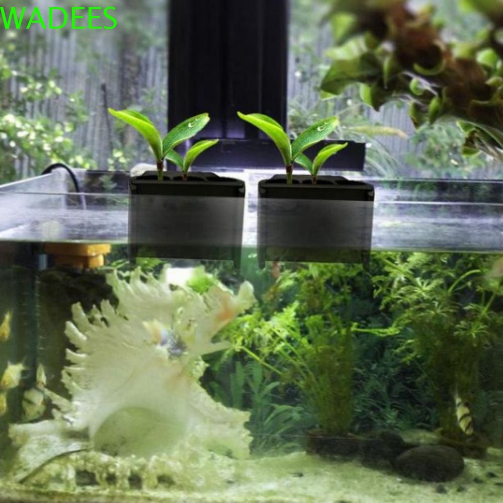 6 PCS Aquatic Plant Pot With Hole Glass Aquarium Cup
