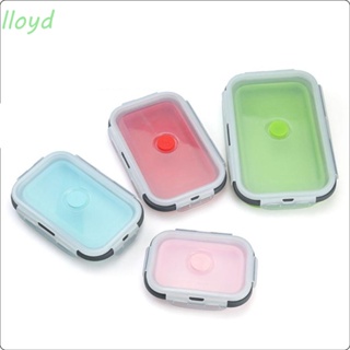 Buy Lejos Silicone Collapsible Bento Box Online SG