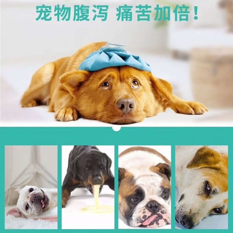 Paiwei Bismuth Subcarbonate Tablets Pet Dog Gastroenteritis Diarrhea