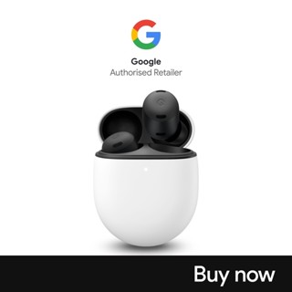 Pixel buds online noise