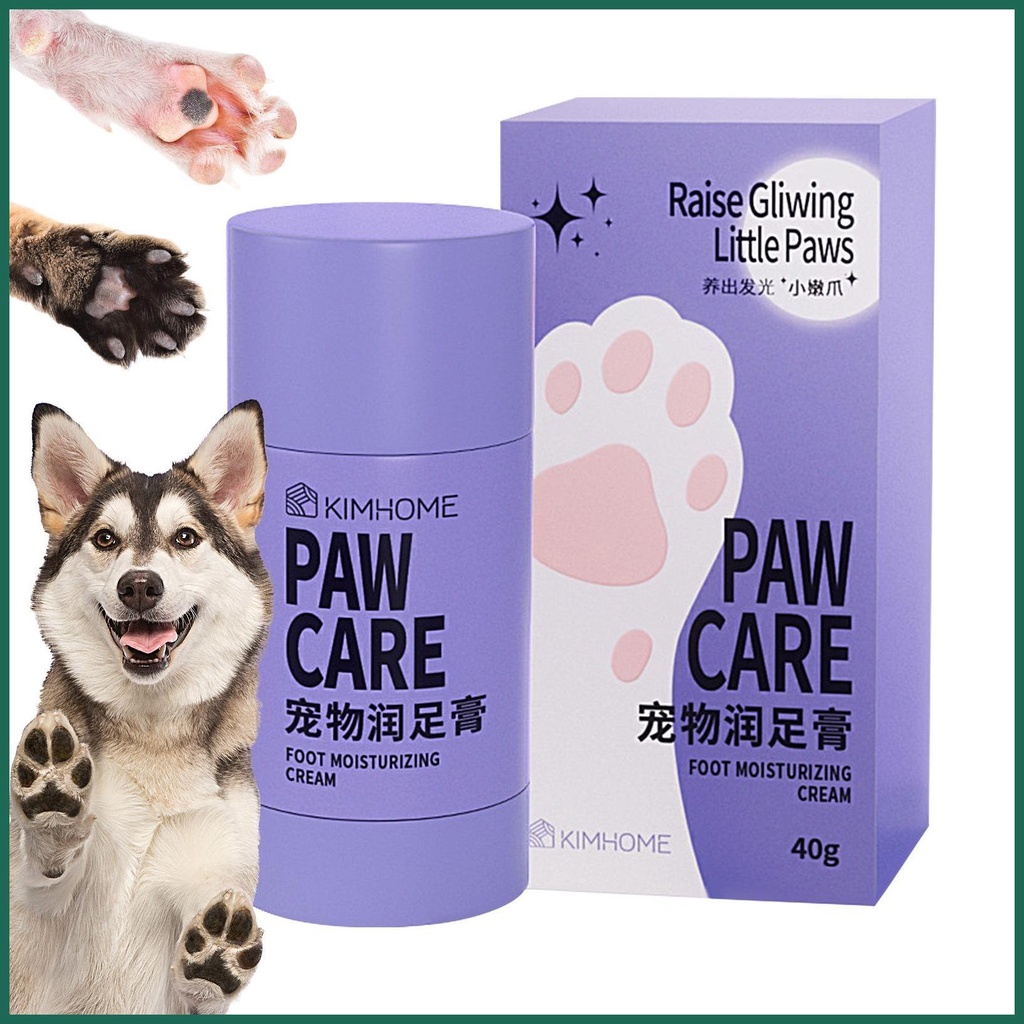 Caring For Cracked Canine Paws