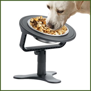 Elevated dog bowl hotsell with slow feeder