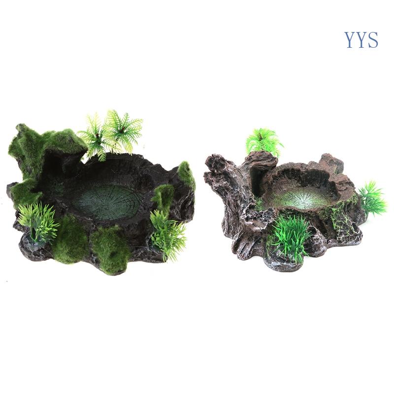 YYS Reptile Water Feeding Feeder for Lizard for Turtle Bearded Dragon