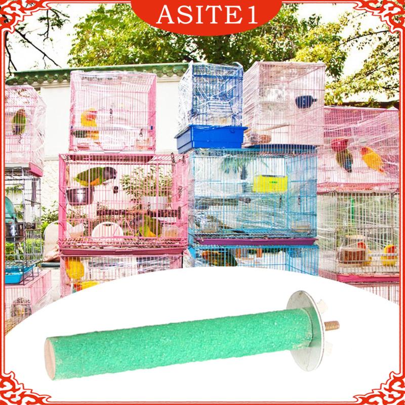 [ Parrot Perch Foot Toy Platform Bird Stand for Small Bird Finches Conures Shopee Singapore