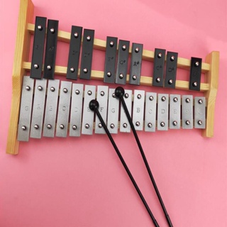Professional 25 Note Xylophone Perfectly Tuned Glockenspiel with Case for  Kids Beginners Children Adult Percussion Instruments