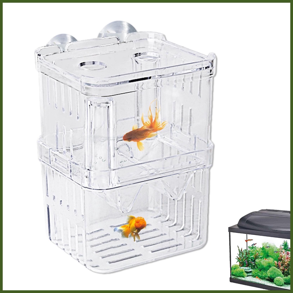 Fish Breeding Tanks Acrylic Hatchery Incubator Tank Fish Tank Divider
