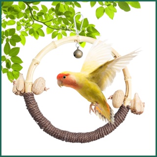 bird swing - Prices and Deals - Jan 2024