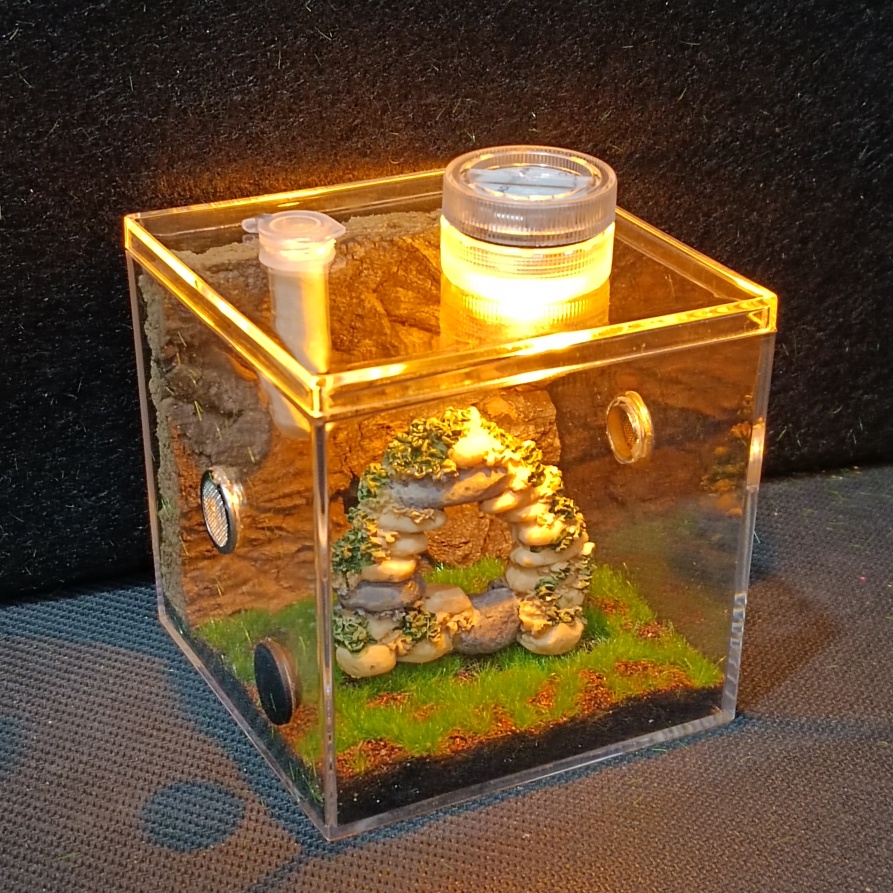 High Permeability Humidifying Feeding Singing Insects Ecological Box ...
