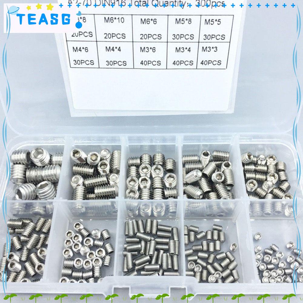 TEASG 300PCS Hex Allen Head Socket Set, Hex M3 M4 M5 M6 M8 Screws Grub