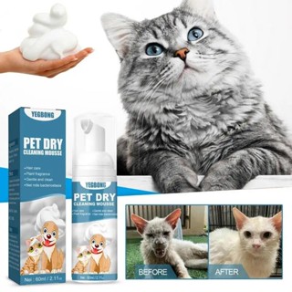 60ml Waterless Cat Shampoo No Rinse Dogs Cats Cleaning Mousse Pet Grooming Supplies For Safe Bathless Cleaning Odor Eliminator Shopee Singapore