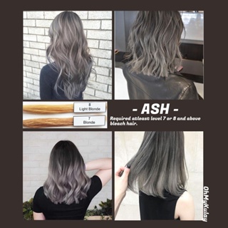 Ash/Grey Hair Color Series, Permanent Hair Dye Set with peroxide (No  Bleach Included)