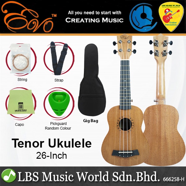 Gig bag clearance ukulele concert