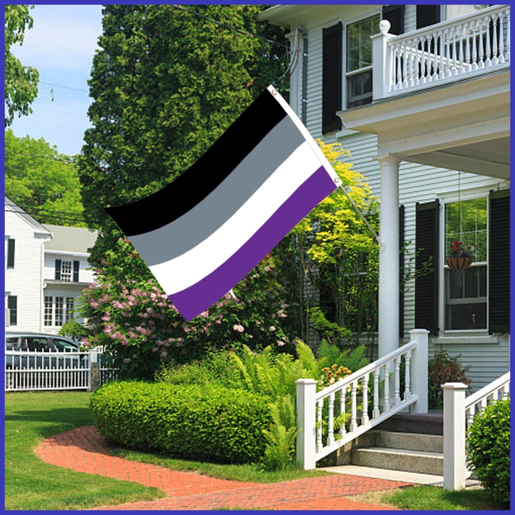 Asexual Pride Flag 3x5 Nonsexuality Pride Flag 3x5 Feet Asexual Flags With Brass Grommets Vivid