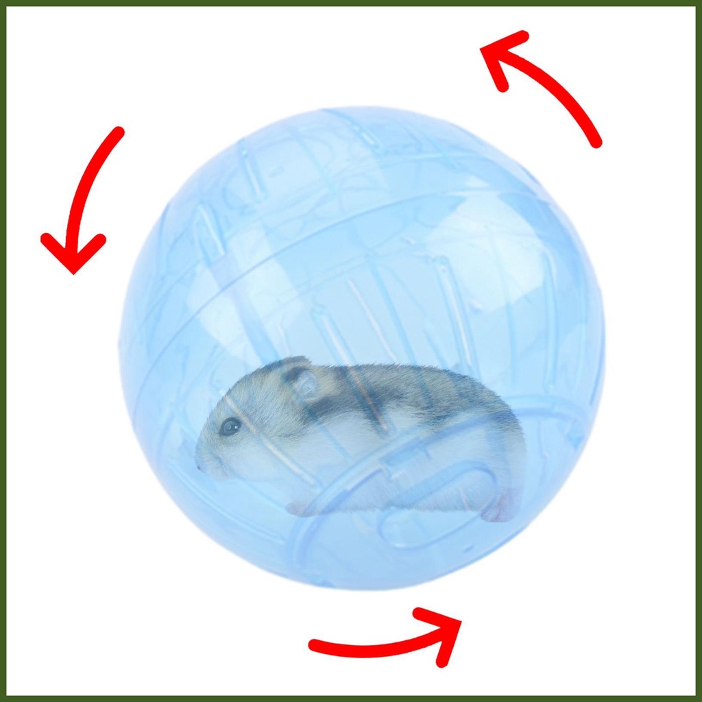 Hamster Ball Jogging Exercise Wheel for Small Animals Hamster