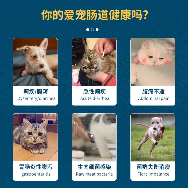 Shengchong Medical Neomycin Sulfate Tablets Pet Dog Acute Vomiting