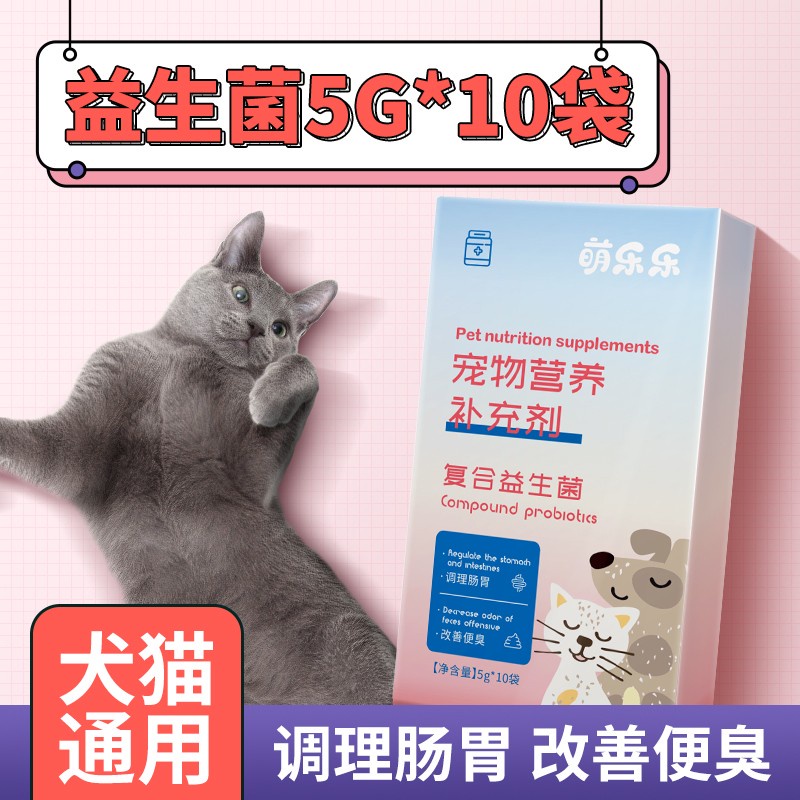 Pet Mushroom Conditioning Intestine and Stomach Dog Vomiting Kittens